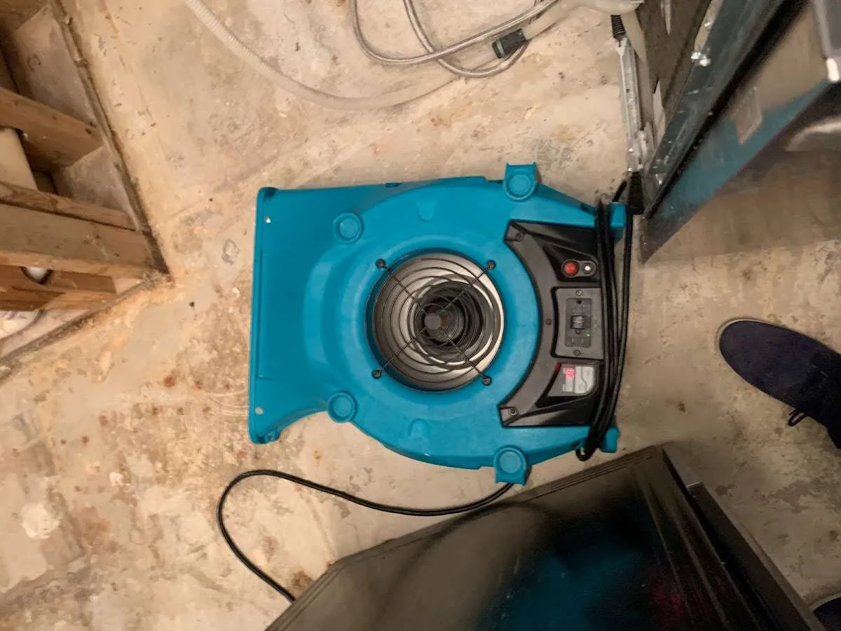 Air mover drying equipment for Mold Remediation & Removal in Park Ridge